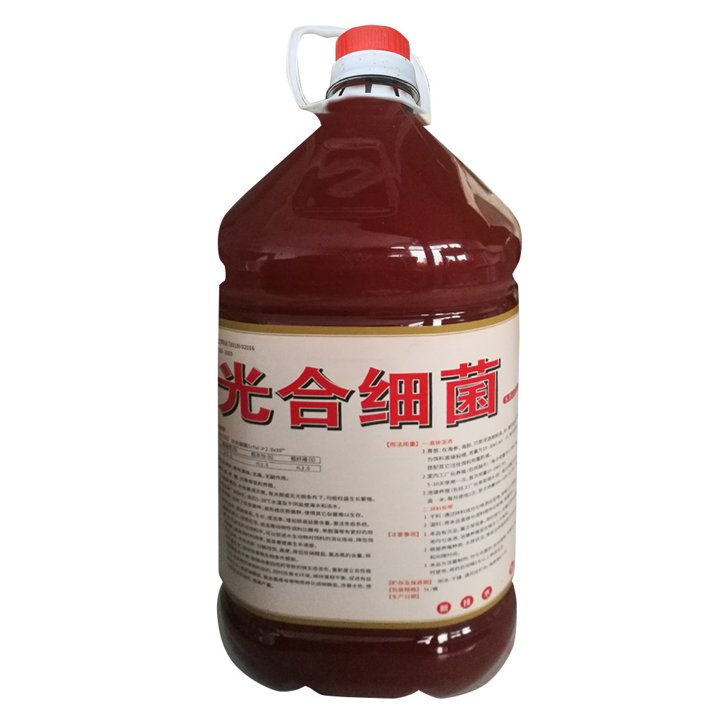 光合细菌
