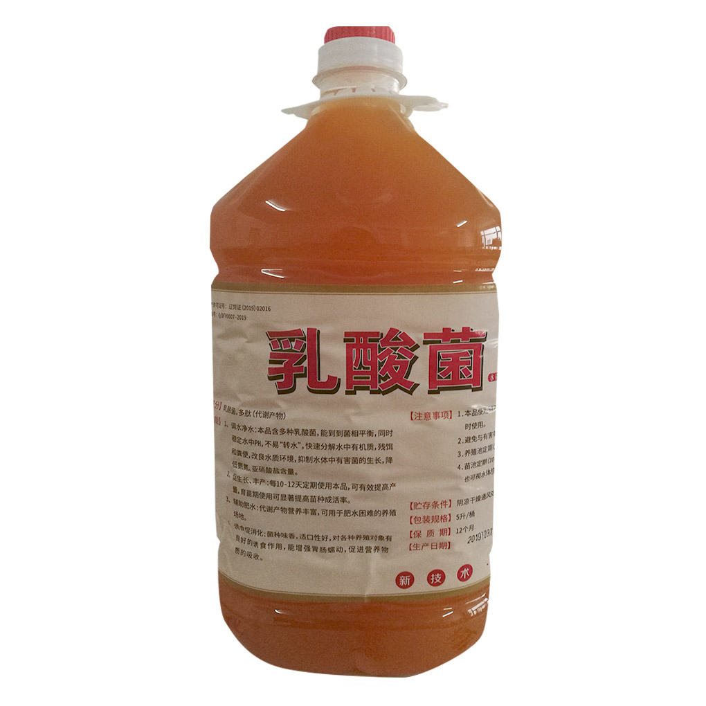 乳酸菌